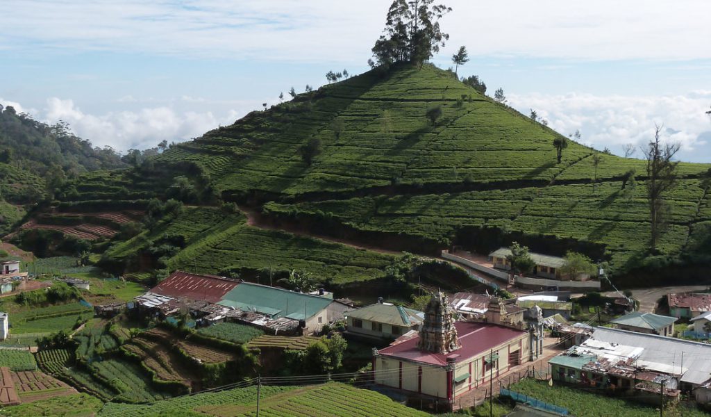 Sri Lanka Usine Plantation Bve Orig 1024x600