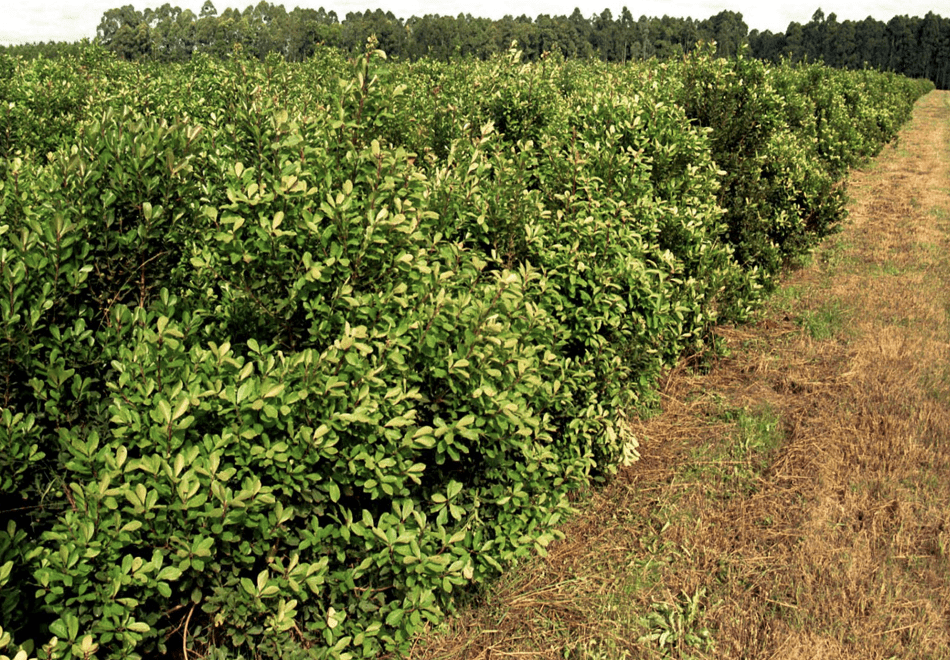 Capture decran 2022 10 16 a 21.54.41