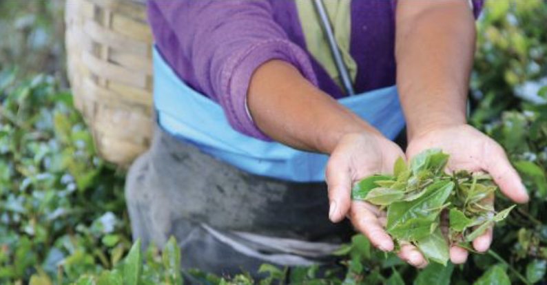 Capture decran 2022 01 13 a 15.52.59