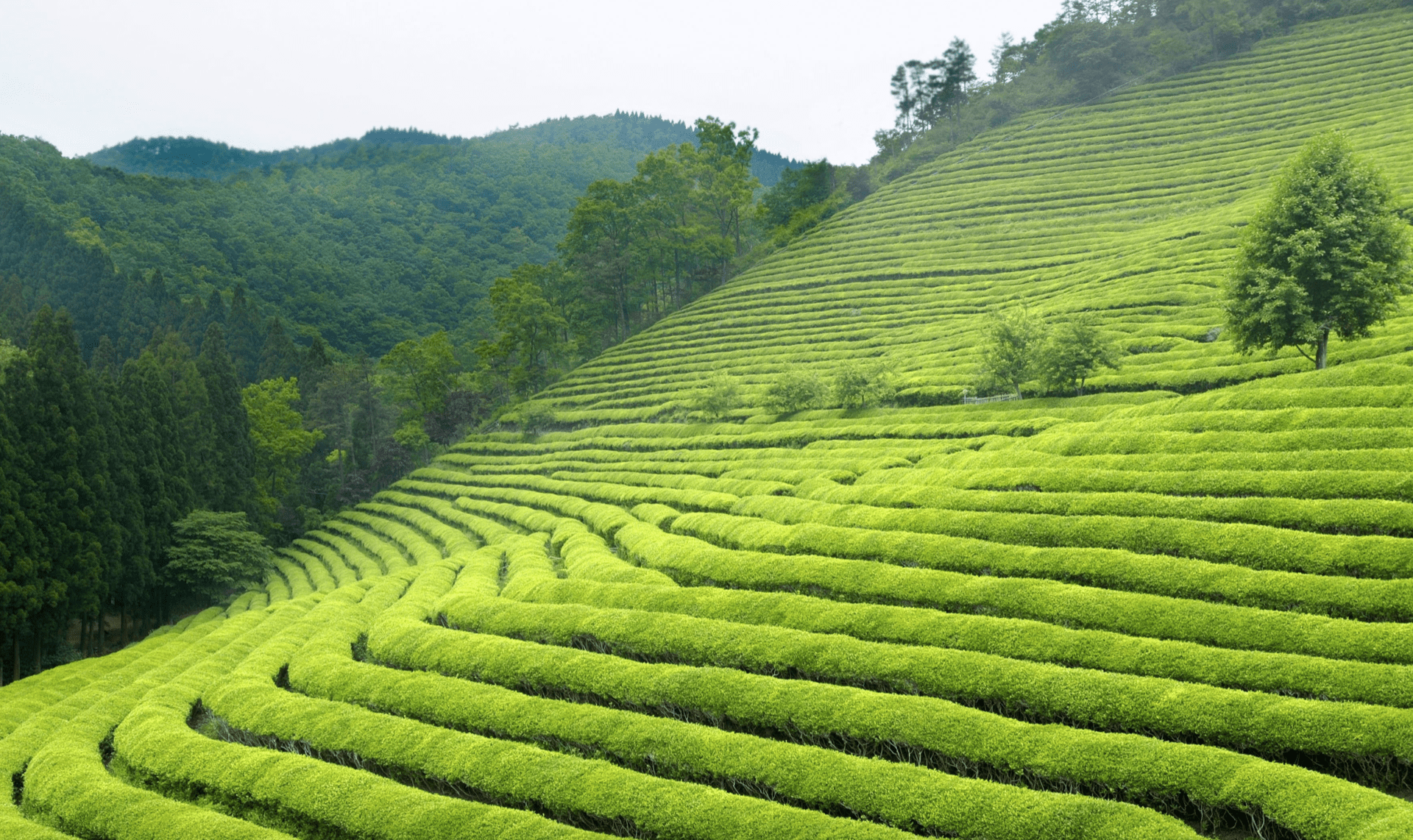 Capture decran 2022 01 23 a 22.49.50