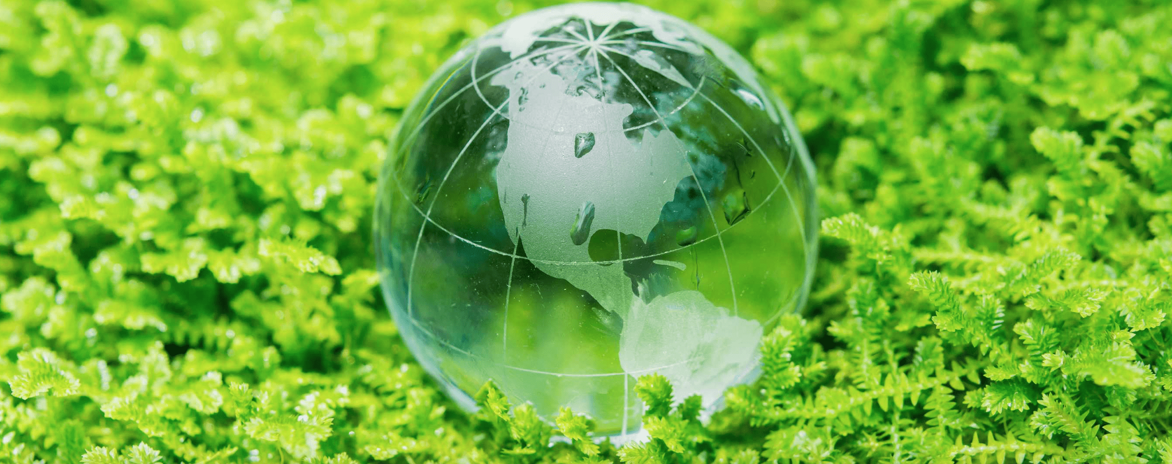 Capture decran 2022 01 25 a 23.37.20