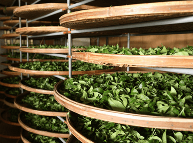 Capture decran 2022 01 30 a 17.14.08