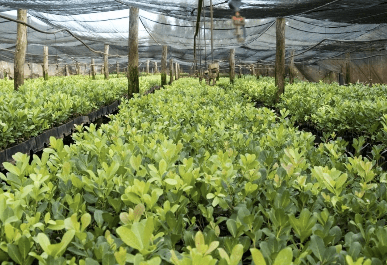 Capture decran 2022 10 16 a 21.58.57