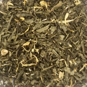 Évasion Tropicale Bio