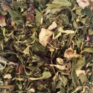 Jardin des Philosophes