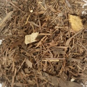 Lapacho Orange-Vanille