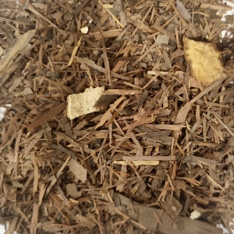 Lapacho Orange-Vanille