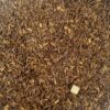Rooibos Caramel